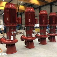NS pumps Rodelta